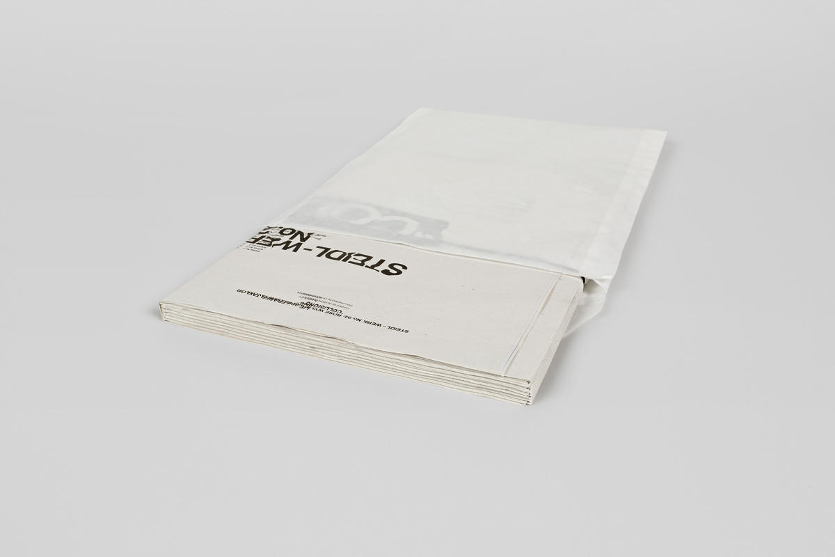STEIDL-WERK No. 24: Collisions - Rose Wylie, Fraser Taylor
